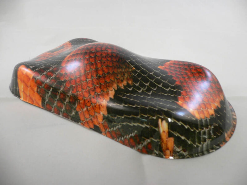 Sample Speed Shapes Animal Print