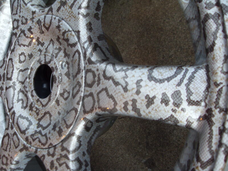 sample wheel snake printed