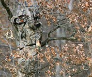 realtree-camo-pattern-realtree-advantage-classic-02