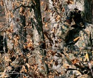 realtree-camo-pattern-realtree-advantage-classic-05