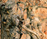 realtree-camo-pattern-realtree-advantage-classic-06