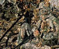 realtree-camo-pattern-realtree-advantage-timber-03_0