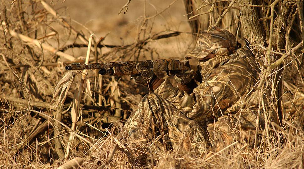 camouflage, real tree, realtree, hunter, camo, pattern, woods