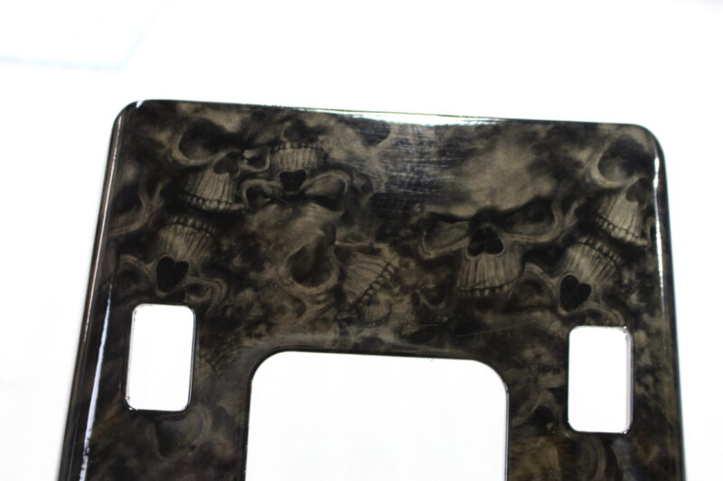 Parts of car interior coated in skull