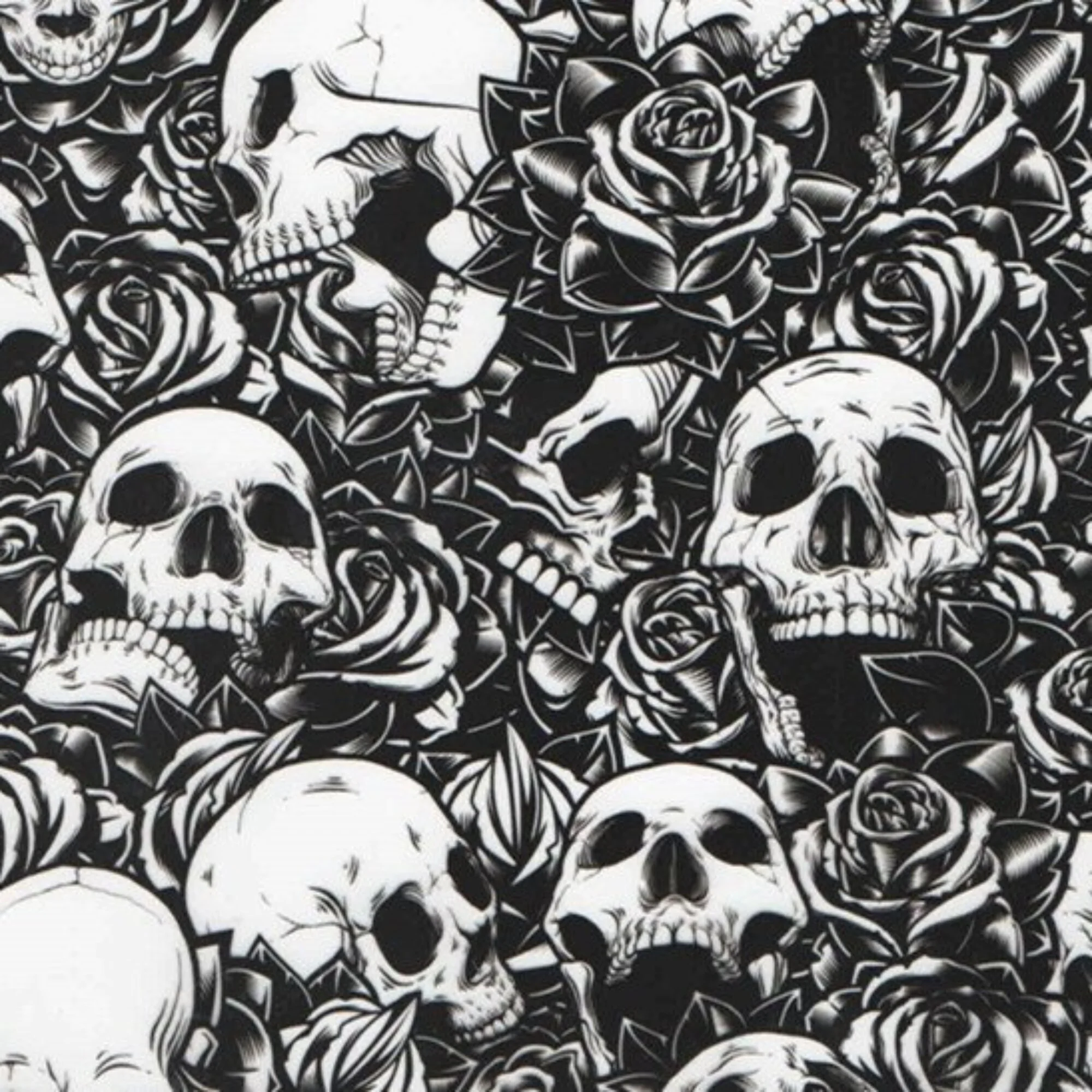 SKULL SK054.1